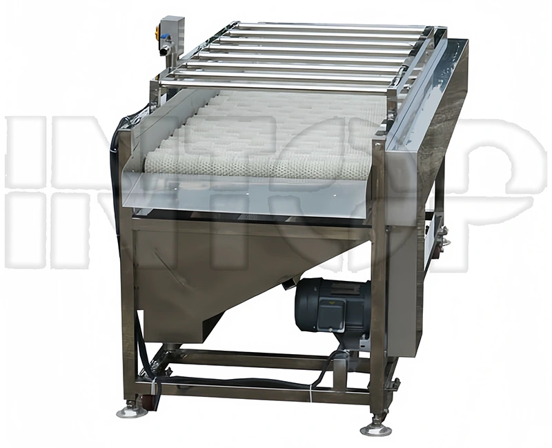 Fruit and Vegetable Brush Roller Washing Machine