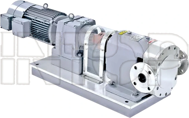 Rotary Pump