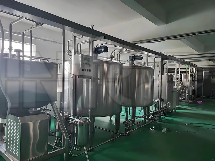 Pomegranate Juice Production Line
