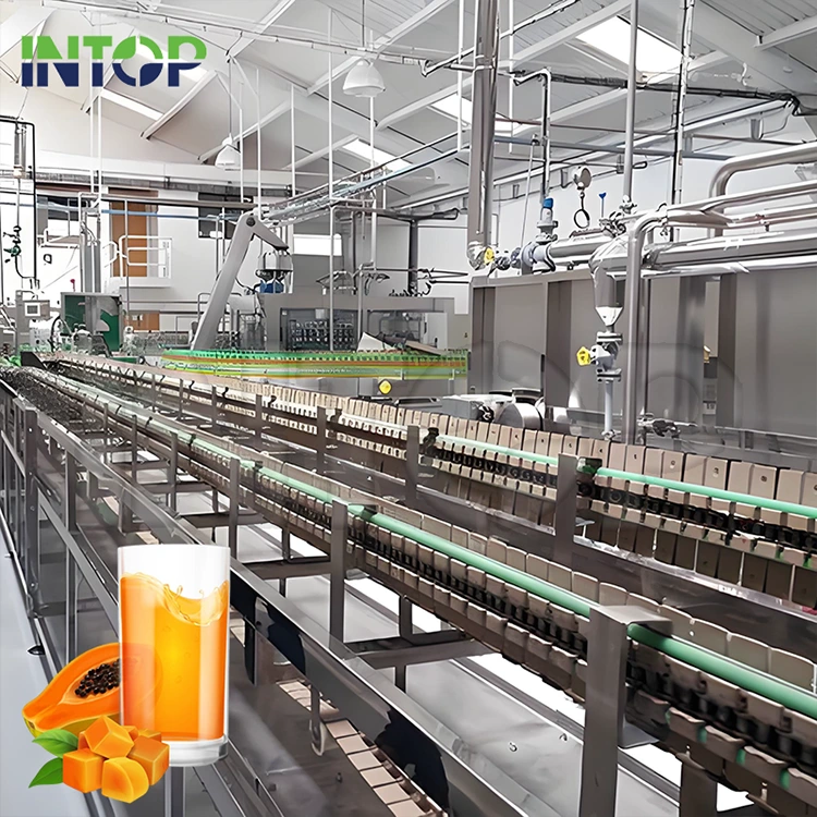 Papaya Juice produktionslinje